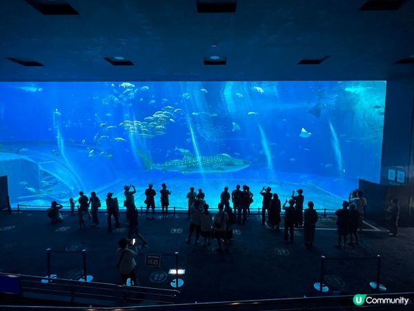 沖繩自駕遊 當地有豐富?自然景觀，有歷史遺跡，令人大開眼界 ...