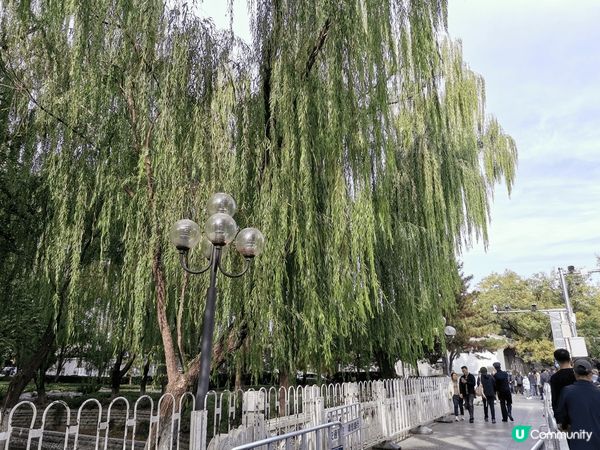 chill住旅遊玩轉北京