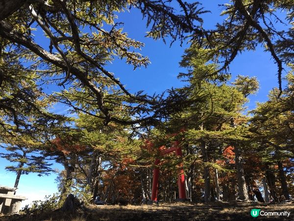 去日本富士山五合木旅行，沿途風景好靚，紅葉開到成山都係
