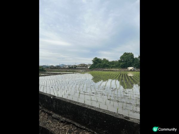 在九洲熊本踩單車漫遊大街小巷，感受自由自在的旅游
