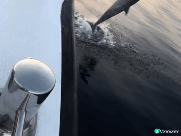 人生必去之馬爾代夫之旅