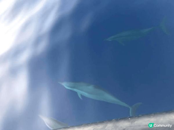 人生必去之馬爾代夫之旅