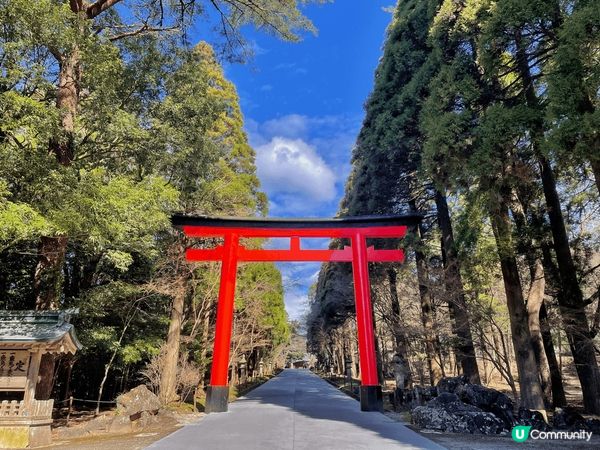 今年2月去左日本鹿兒島5日4夜，當中櫻島係好出名既旅遊景點，...