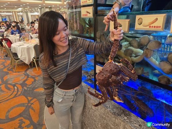 ## 百好長腳蟹🦀推出優惠啦！$1XX@斤！