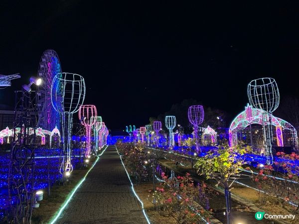 日本九州夜景🎑