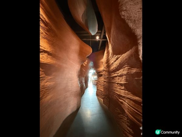 深圳寶安區歡樂港灣商場「遇見花瓣」，打卡一流，食物亦不錯，商...