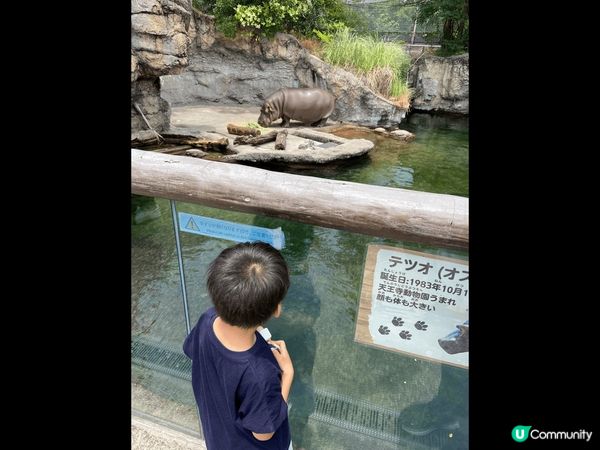 大阪天王寺動物園好適合小朋友去參觀，夜晚嘅道頓堀景色真係好靚...