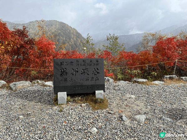 要介紹係秋天名古屋 除左去飛驒食飛驒牛之外 可以去埋立山黑部...