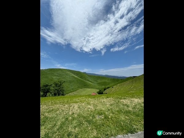 放慢腳步，聆聽大自然聲音，認清自己的需要，再向目標進發?