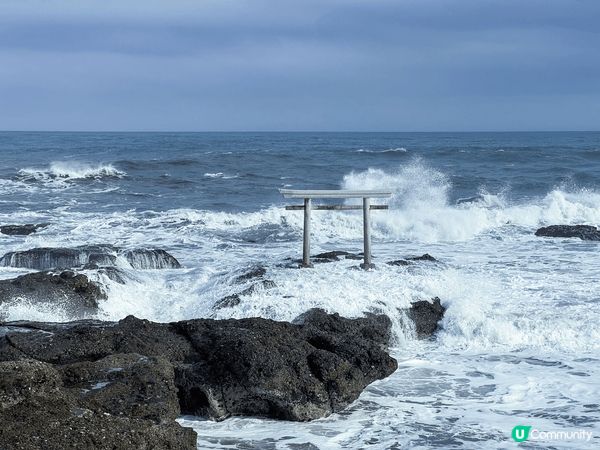 紀錄了日本的春夏秋冬，真係一個不同時節有不同面貌的好地方，每...