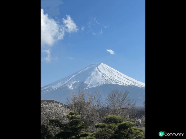 紀錄了日本的春夏秋冬，真係一個不同時節有不同面貌的好地方，每...