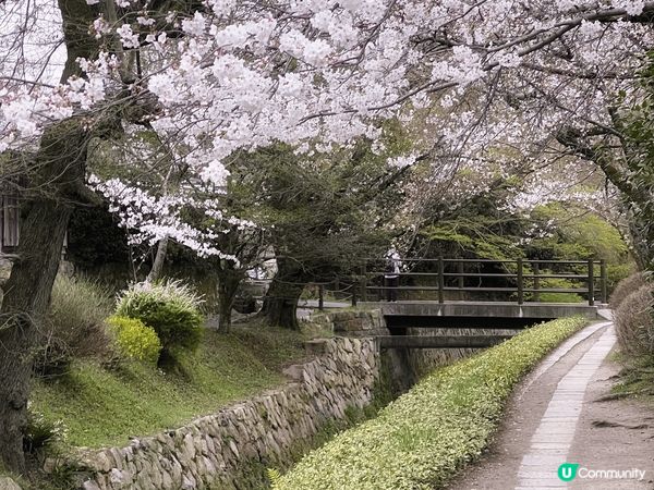 紀錄了日本的春夏秋冬，真係一個不同時節有不同面貌的好地方，每...