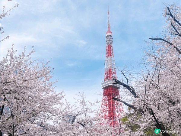 紀錄了日本的春夏秋冬，真係一個不同時節有不同面貌的好地方，每...
