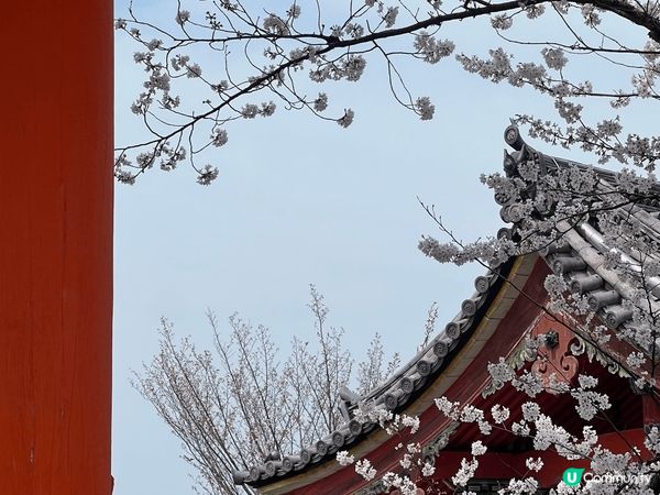 紀錄了日本的春夏秋冬，真係一個不同時節有不同面貌的好地方，每...