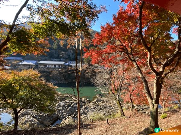 紀錄了日本的春夏秋冬，真係一個不同時節有不同面貌的好地方，每...