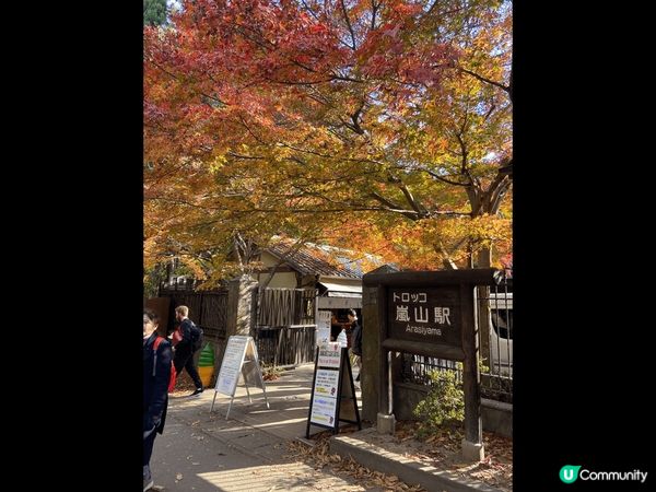 紀錄了日本的春夏秋冬，真係一個不同時節有不同面貌的好地方，每...