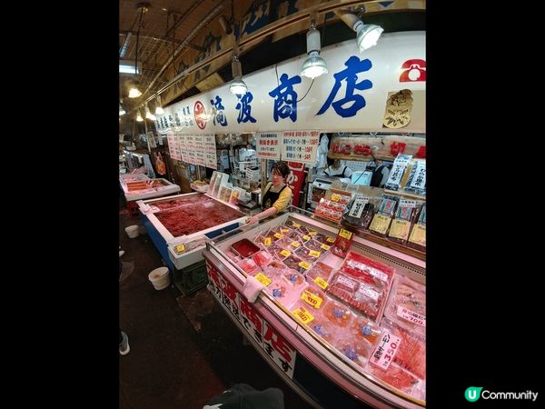 小樽運河夜景 天狗山夜景 魚市場商店即食海鮮