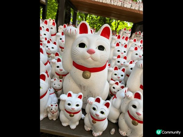 打卡之旅，日本郊外地方，寺廟參拜神社，大家歡迎去影相