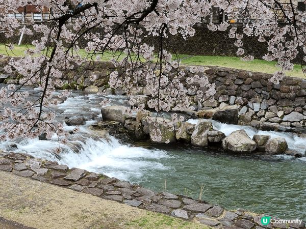 高山係一個好靚又好少香港人去既地方,佢既景色又靚，仲有和牛食...