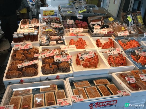 第一次係北海道自駕遊，好好體驗，小朋友見到雪勁興奮，仲一齊去...