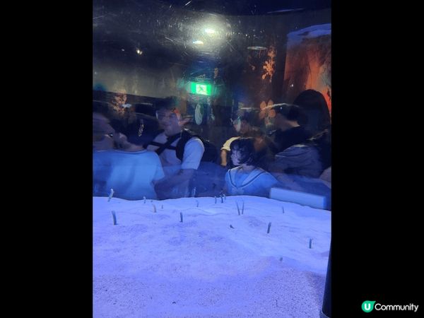 福岡的marine world海之中道海洋世界真的很值得去，...