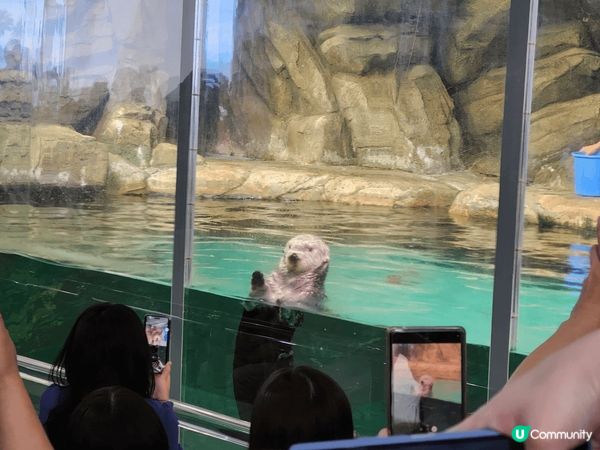 福岡的marine world海之中道海洋世界真的很值得去，...