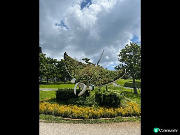 「沖繩美麗海水族館」，是海洋博公園中的人氣景點之一。