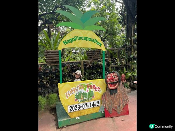 睇魚睇動物小朋友最鍾意 之後去菠蘿farm玩返一陣再睇睇其他...