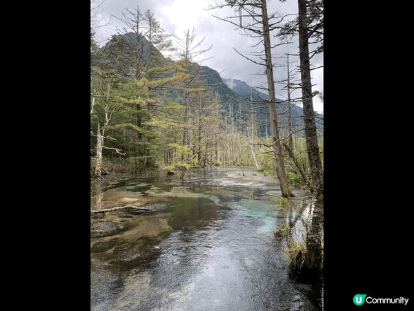 上高地被譽爲神的故鄉 上高地是衆所周知的高山觀光勝區，不論自...