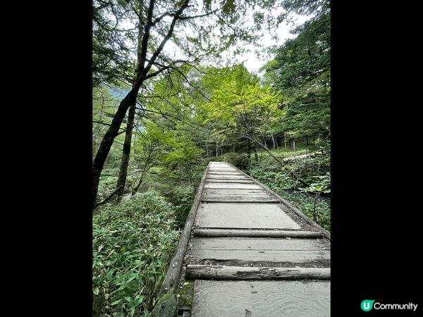 上高地被譽爲神的故鄉 上高地是衆所周知的高山觀光勝區，不論自...