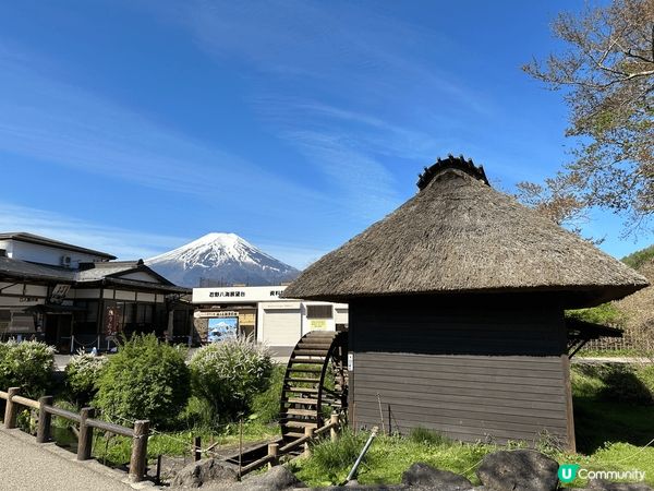 看富士山真的很講緣份，但絕對值得去看！配搭跟花一齊看，眼看到...