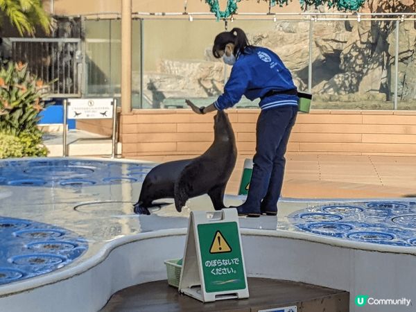 池袋的陽光水族館（Sunshine Aquarium）是位於...