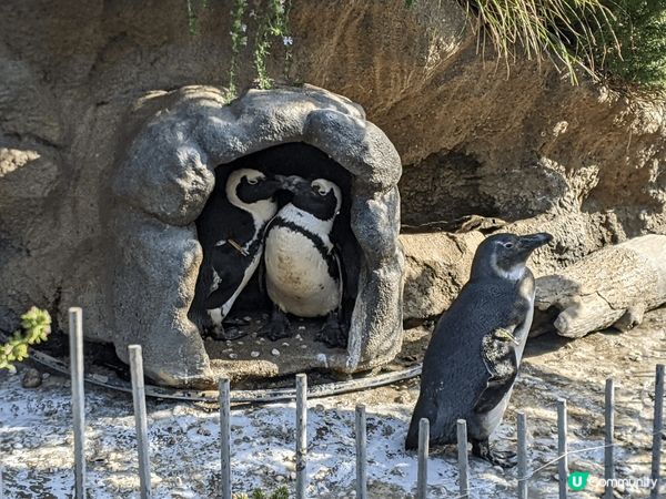 池袋的陽光水族館（Sunshine Aquarium）是位於...