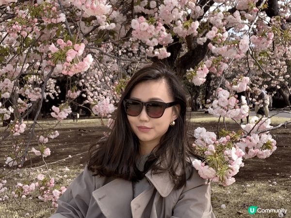 最喜歡走在日本街頭四季不同景色，謹慎美食人文都相當吸引人