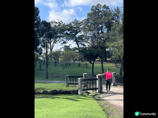 簡單大阪近郊，坐JR可到。JR 三日pass只係3000日円...