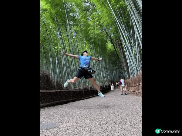 簡單大阪近郊，坐JR可到。JR 三日pass只係3000日円...