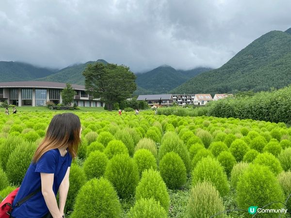 日本小新換幣機超可愛！香港粉絲一定要黎打卡！日本東京夾公仔樂...