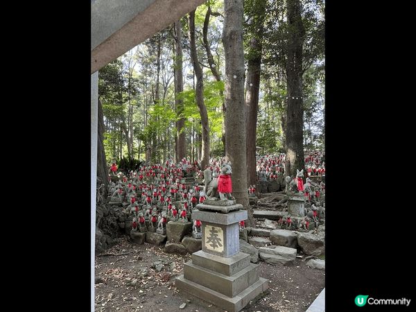 呢度就係名古屋周邊嘅豐川稻荷神社 行到最入面有一個靈狐塚 有...