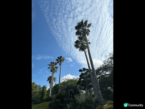 這個地方是日本別府。那裡有很多不同的溫泉，而這個地方叫海地獄...