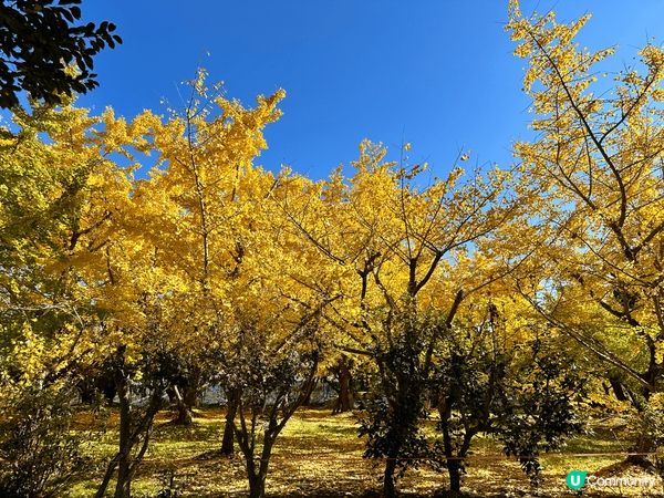 2023年尾的福岡遊