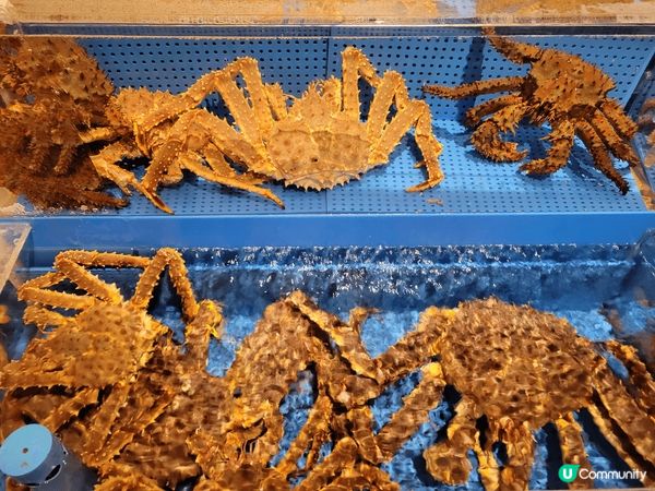 蟹蟹蟹全部都係蟹，北海道的難陀真的值得去試一試，因為有很多種...