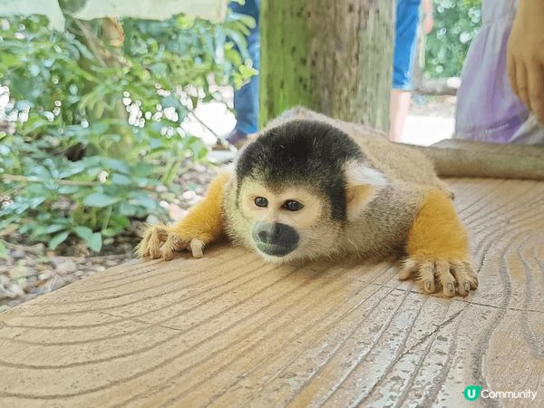 石垣島八重山民俗村