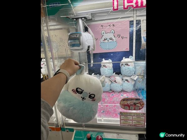 沖繩之旅🫧🫧孤獨的美食家，一日一居酒屋。去埋動漫倉庫夾公仔🐰...