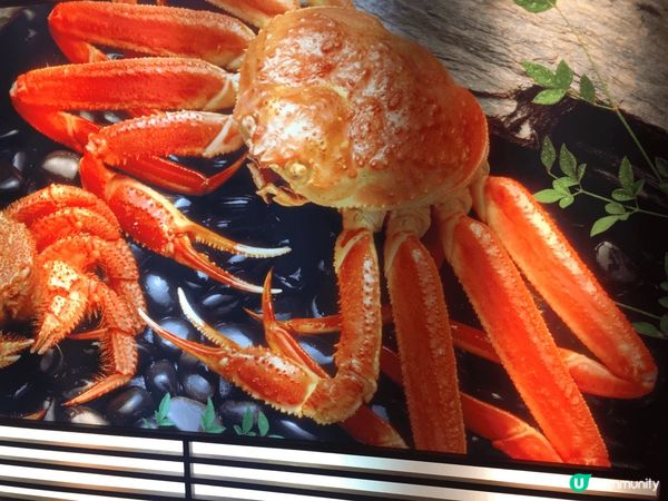 去日本梗係要去京都同大板，清楚寺心曠神怡，我蟹道樂鮮上加鮮，...