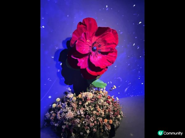 1881 Naked Flowers 花舞光影展，打卡一流！...