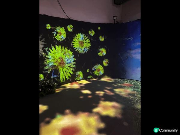 1881 Naked Flowers 花舞光影展，打卡一流！...