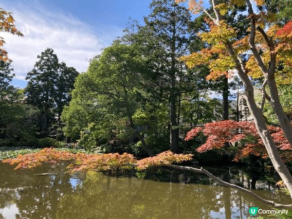 2024紅葉現身，八雲町 ，距我們JR八雲站走路約8分鐘，就...