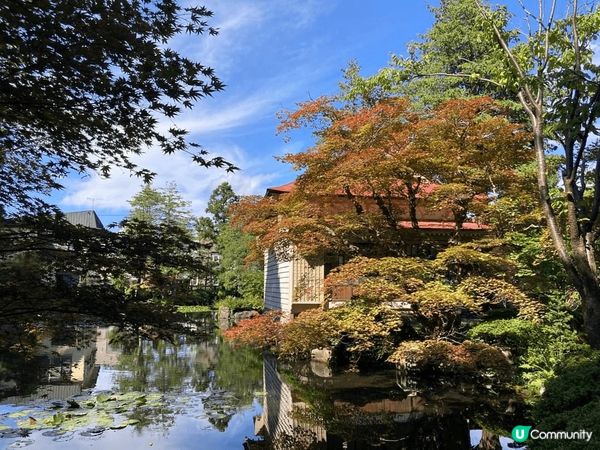 2024紅葉現身，八雲町 ，距我們JR八雲站走路約8分鐘，就...