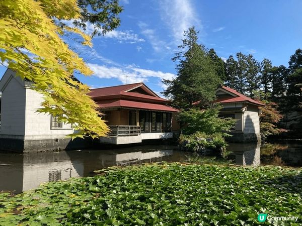 2024紅葉現身，八雲町 ，距我們JR八雲站走路約8分鐘，就...