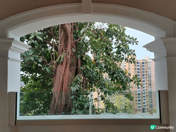 薄扶林為舊牛奶公司生產牛奶的基地，而薄扶林村成功入選世界文物...